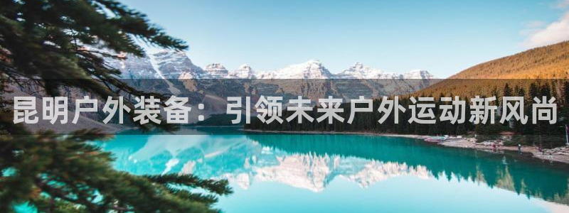新宝gg待遇