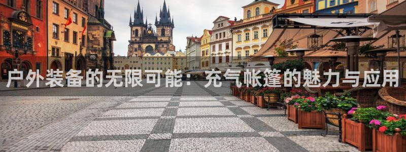 新宝gg手机登录官网