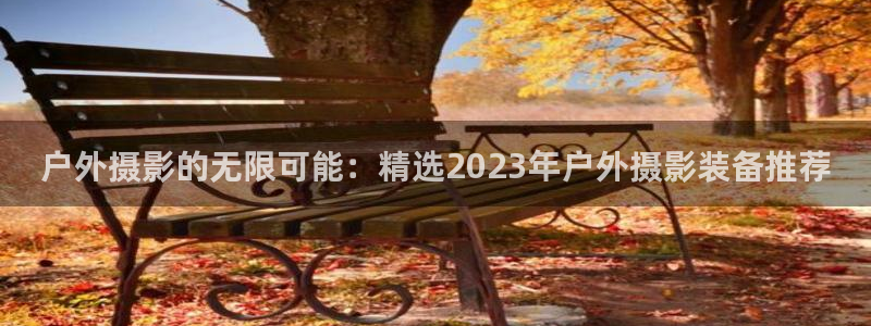 百度新宝gg