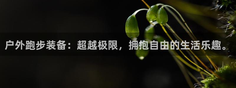 新宝gg主管48527