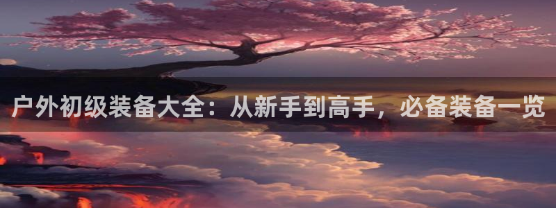 收新宝gg