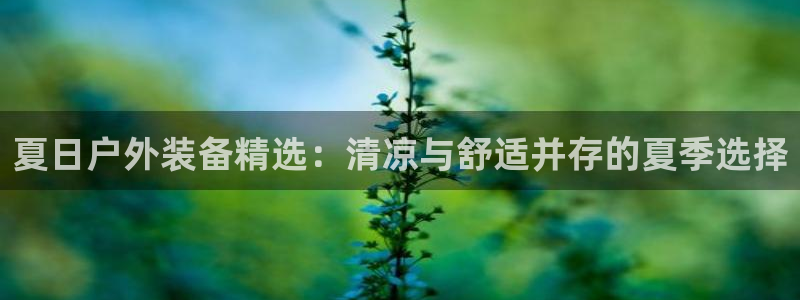 新宝gg奖金
