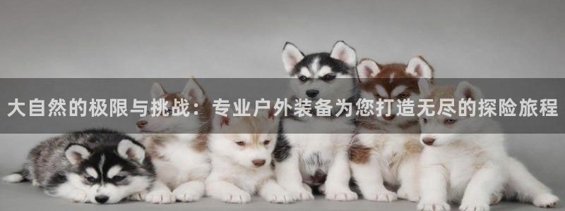 怎么代理新宝gg