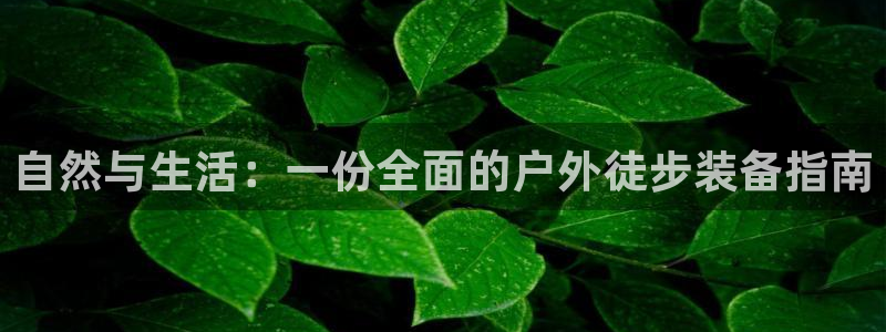 新宝gg—创造