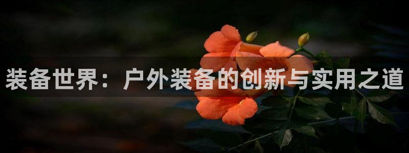 新宝gg平台注册