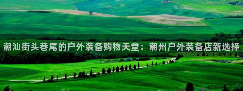 新宝gg画