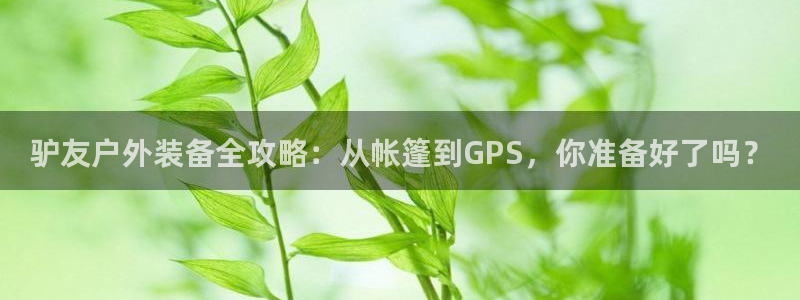 新宝gg手机登录官网