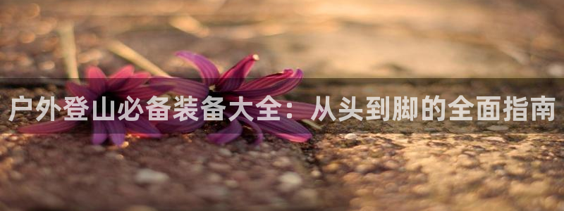 新宝gg平台连接