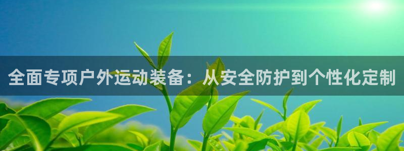 新宝gg总管