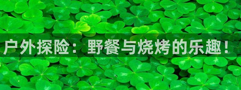 新宝GG的老板