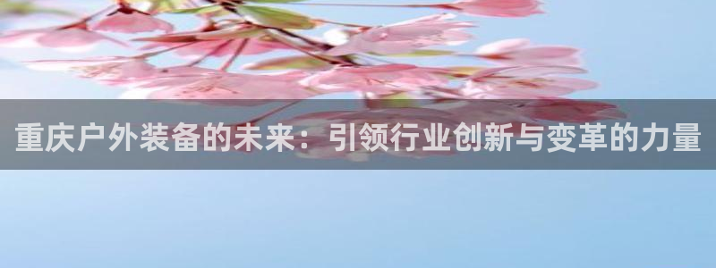 新宝gg老板