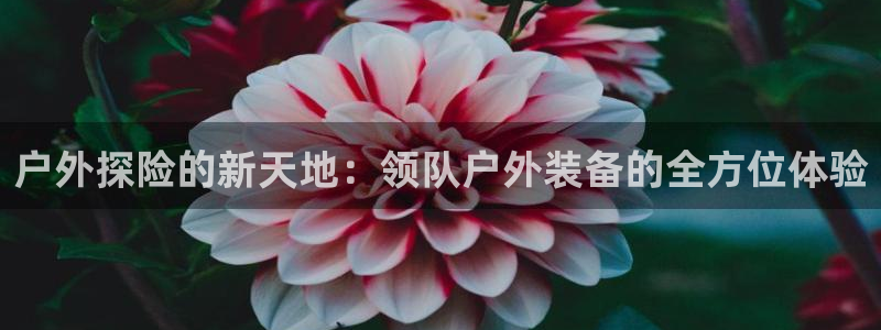 手机新宝gg