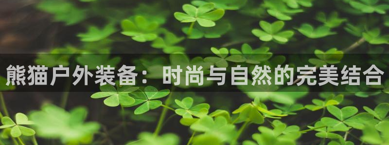 新宝gg奖金