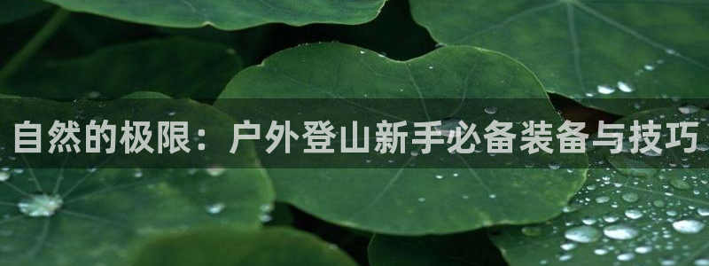 新宝gg软件下载