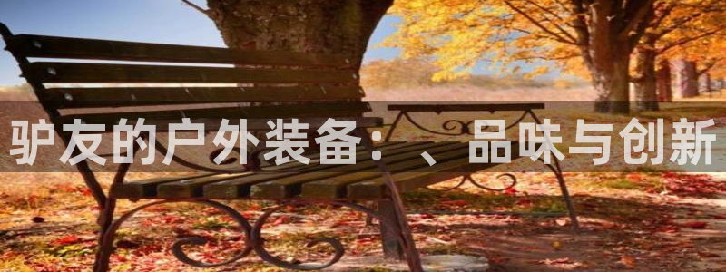 新宝GG的老板