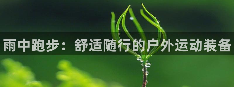 新宝GG官方域名