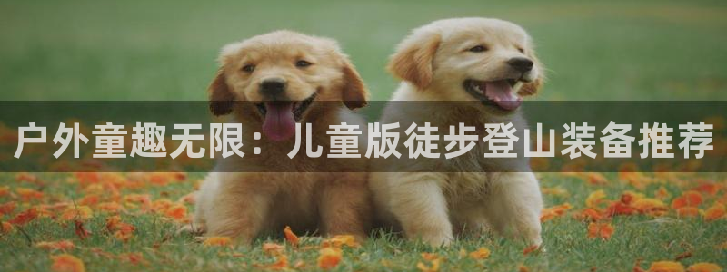 新宝gg娱乐注册全芏网