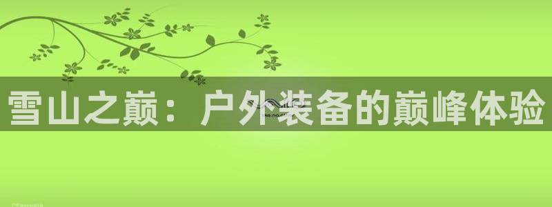 新宝gg挂机软件下载