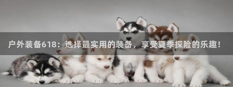 新宝gg好吗