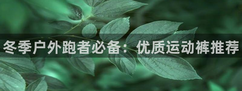 新宝gg老板