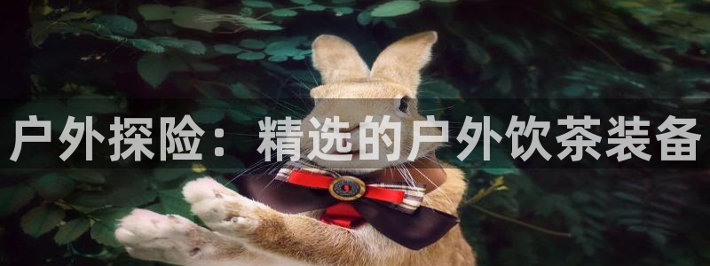 新宝gg娱乐主管q42873