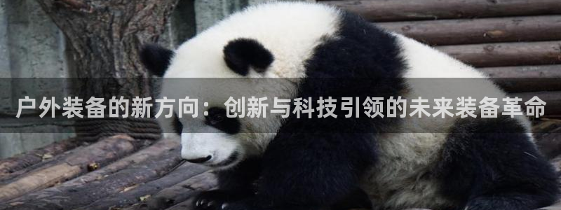 新宝gg网点
