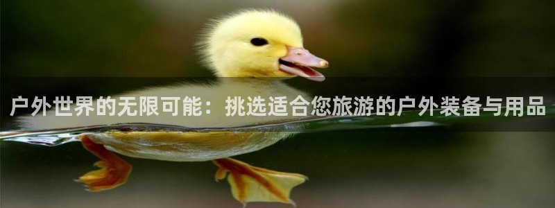 新宝gg网址