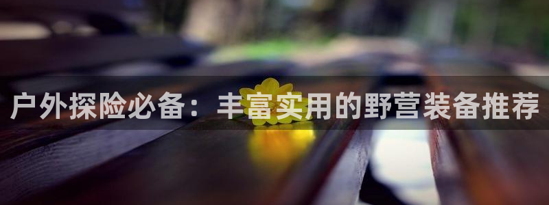 新宝gg如何代理