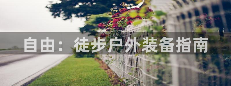 新宝gg开