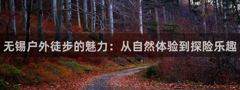 认准新宝gg
