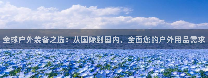 新宝gg老板64491