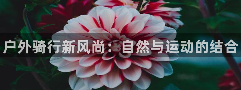 新宝gg有假吗