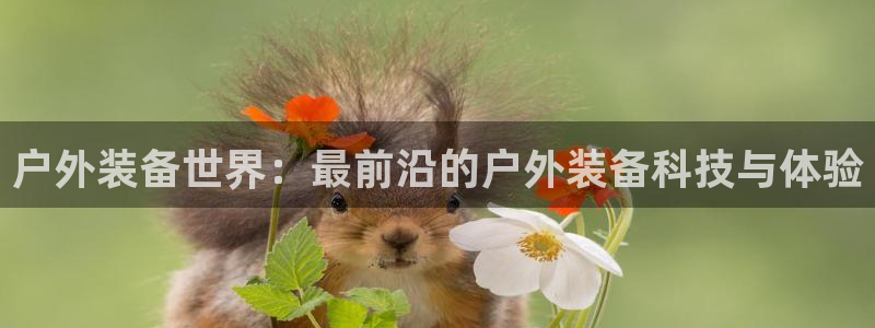 新宝gg 平台怎么样
