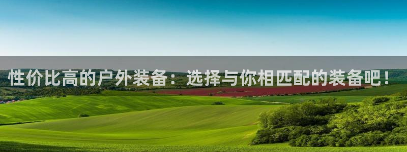 新宝GG上级