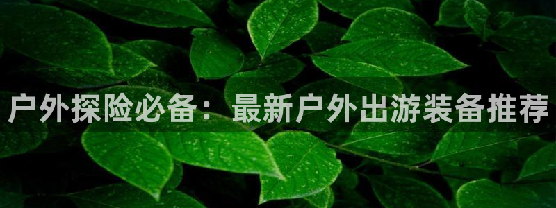 新宝GG无法充值