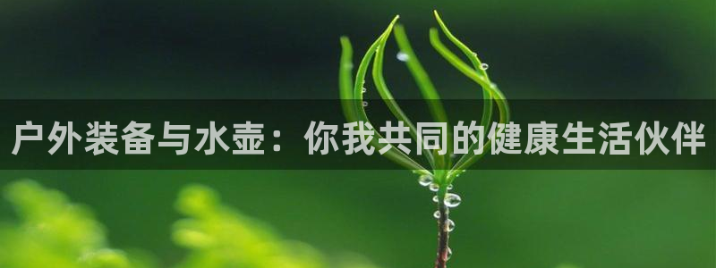 分分新宝gg