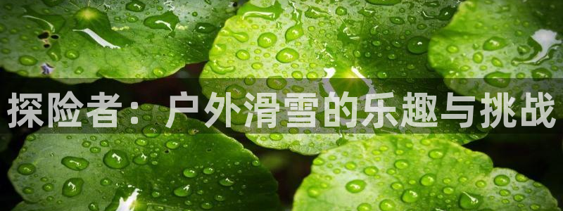 新宝 gg 总代理