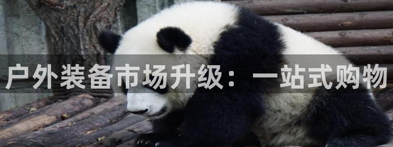 新宝gg提点