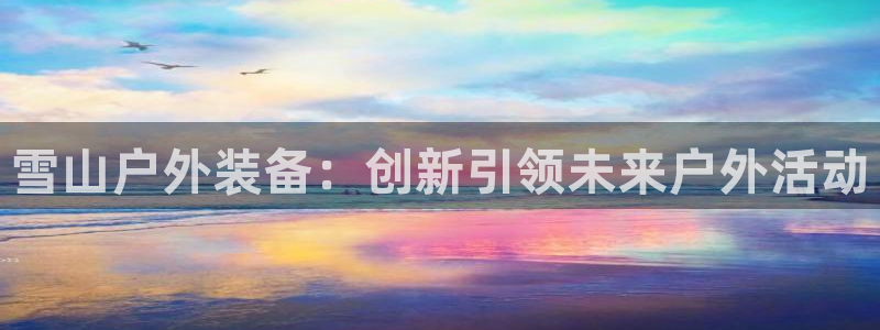 新宝gg工资
