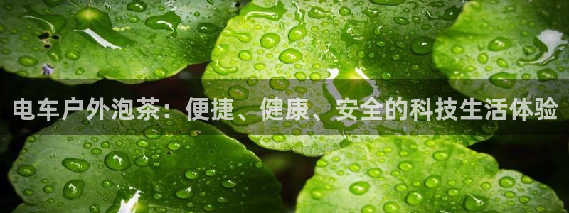 新宝GG娱乐-上皇巢网
