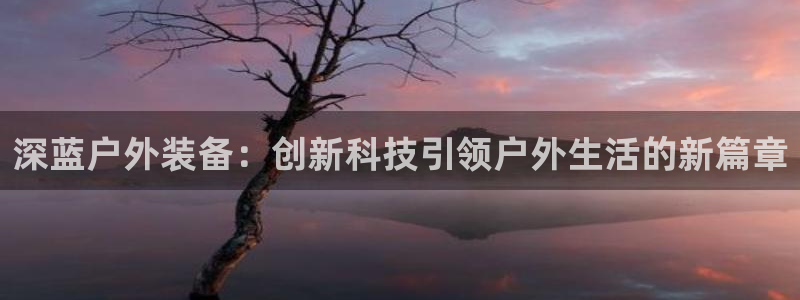 谁有新宝GG