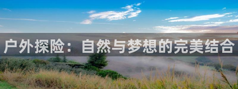 新宝gg辅助