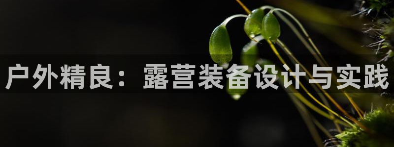 新宝gg登陆