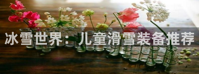正版新宝gg