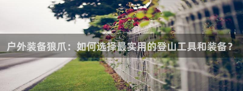 新宝GG网页