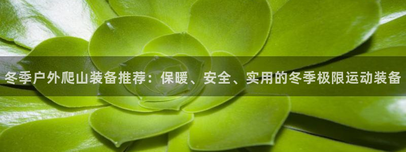 正版新宝gg