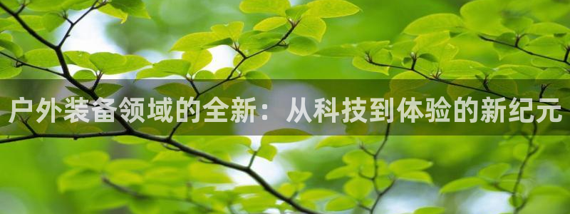 新宝 gg 总代理