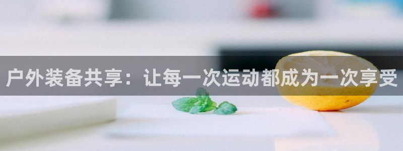 新宝gg平台开发