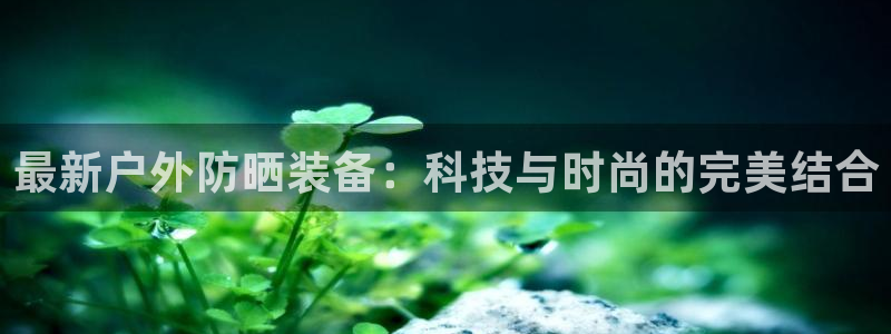 新宝GG股东