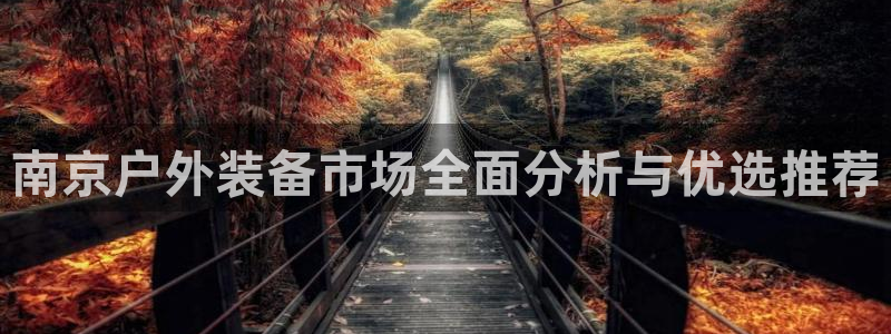 新宝gg怎样